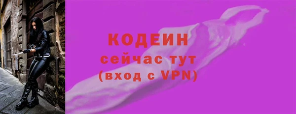 spice Ельня