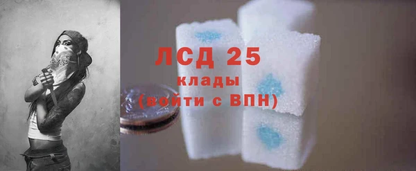 spice Ельня