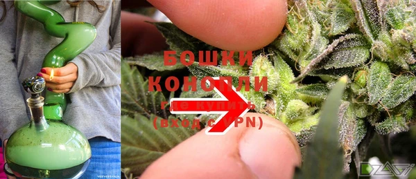 spice Ельня