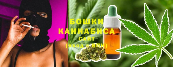 spice Ельня
